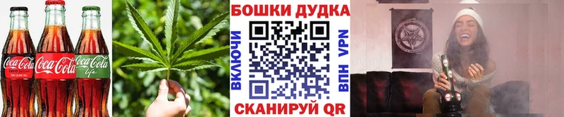 Canna-Cookies конопля  Новоаннинский 