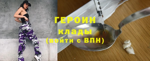 хмурый Ельня
