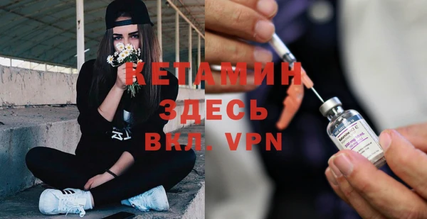 хмурый Ельня