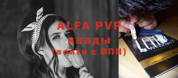 хмурый Ельня
