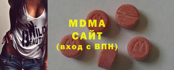хмурый Ельня