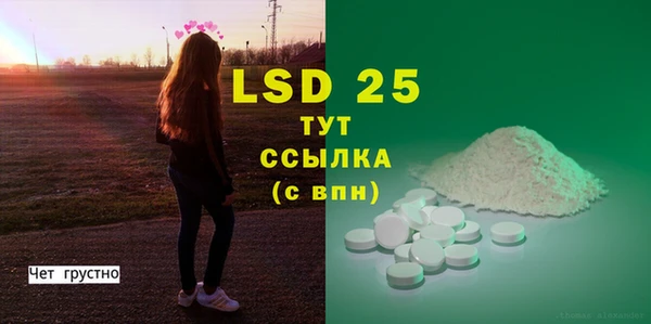 хмурый Ельня