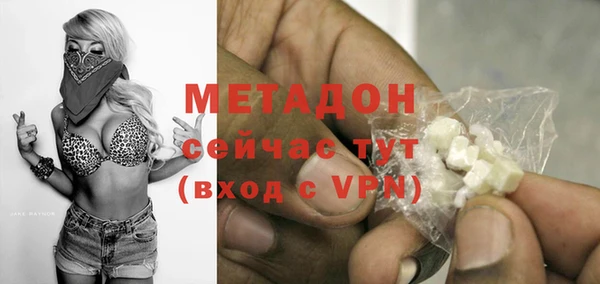 хмурый Ельня