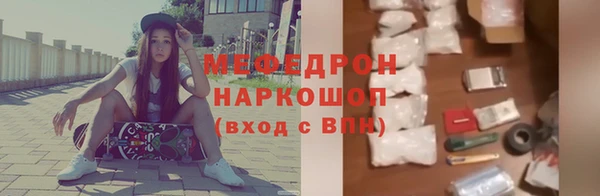 хмурый Ельня