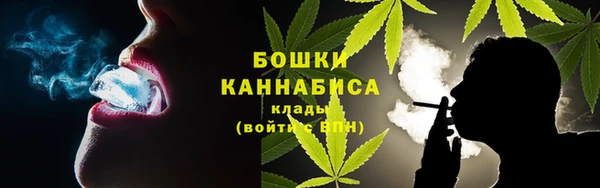 соль ск Елабуга