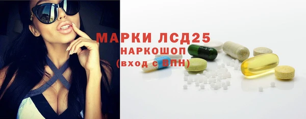 хмурый Ельня