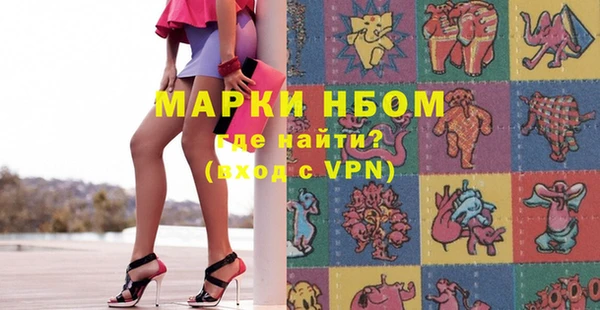 хмурый Ельня