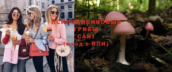 соль ск Елабуга