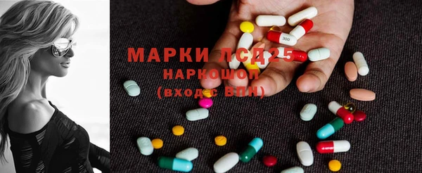 хмурый Ельня