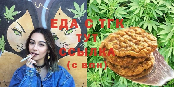 хмурый Ельня