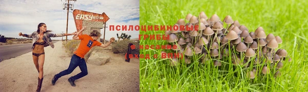 хмурый Ельня