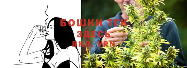 соль ск Елабуга