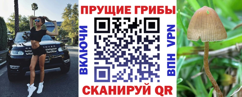 маркетплейс какой сайт Новоаннинский Псилоцибиновые грибы прущие грибы